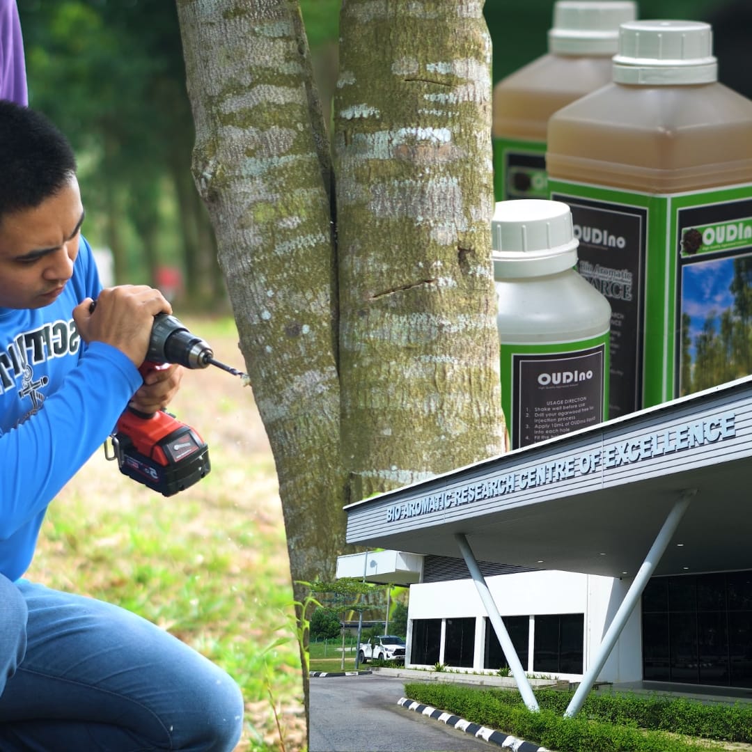 OUDIno agarwood inoculant